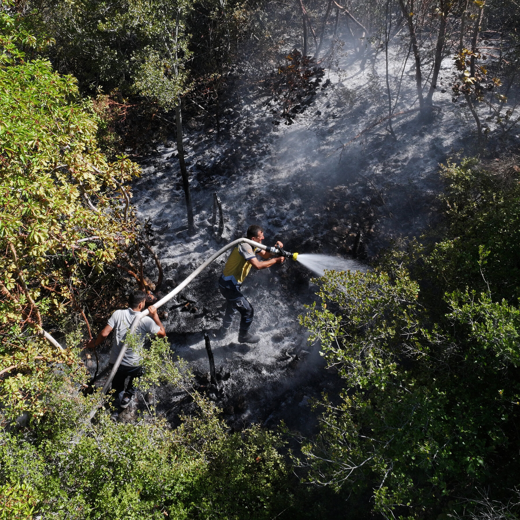 Lucha Contra Incendios en Siria: Obstáculos Explosivos y Sequía Severa