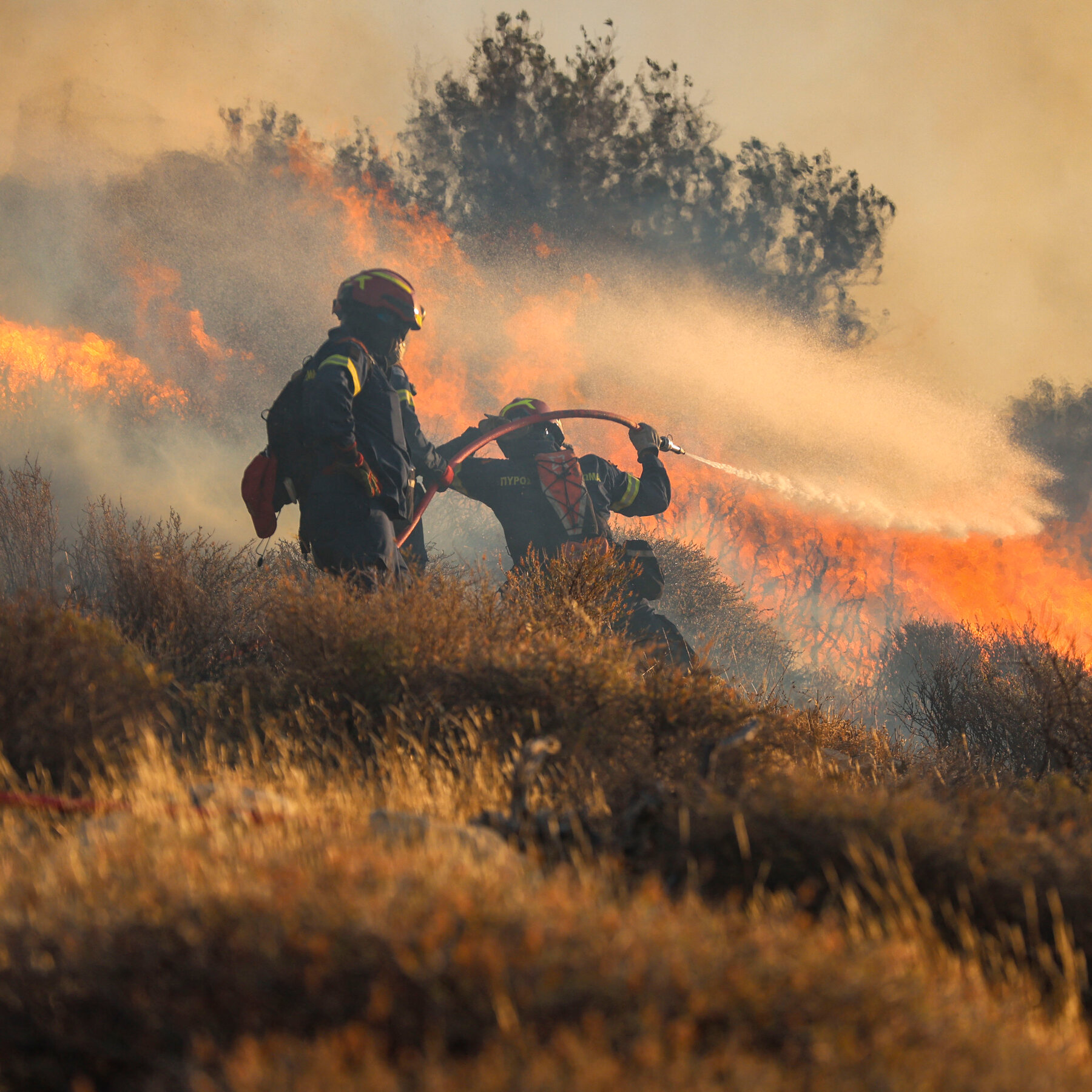 Mass Evacuation in Crete: Over 1,500 Flee as Wildfire Threatens Tourist Hotspot