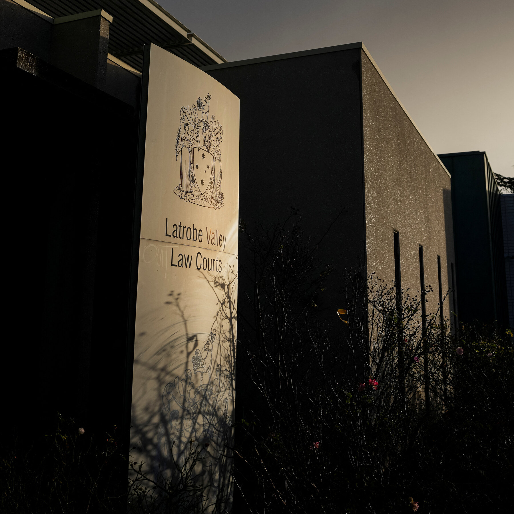 Trágico Final en la Mesa: Tres Muertes por Beef Wellington Envenenado Llevan a Juicio Nacional