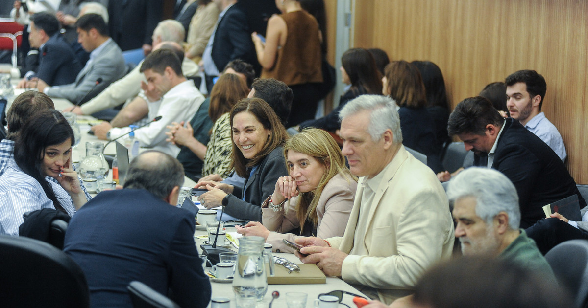 Avances Clave en el Congreso: Unificación de Proyectos para Financiar el Hospital Garrahan y Universidades