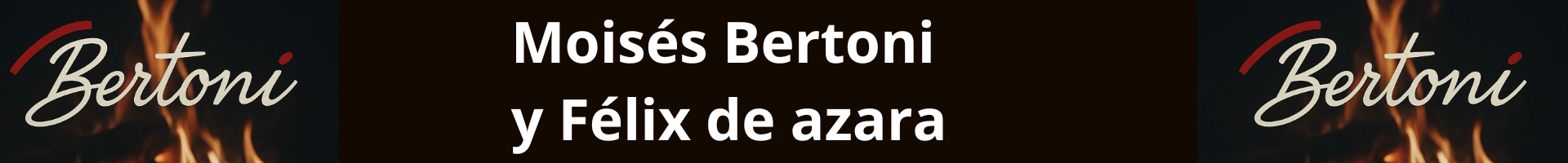 Foz do Iguaçu: Prohibición de Buses Turísticos Desata Crisis Fronteriza